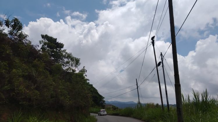 WhatsApp Image 2025-09-16 at 23.52.43