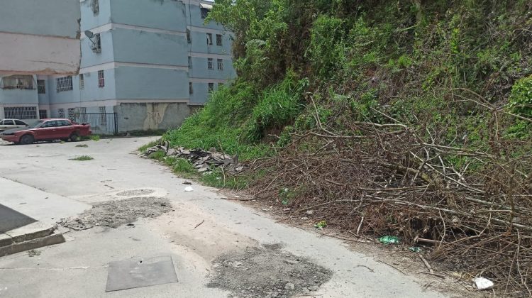 WhatsApp Image 2025-09-29 at 18.19.27 (1)