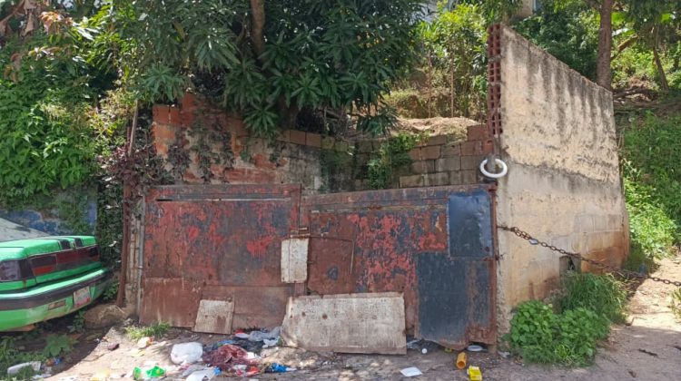 WhatsApp Image 2025-10-06 at 11.58.33