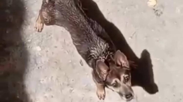 WhatsApp Image 2025-10-06 at 13.47.43