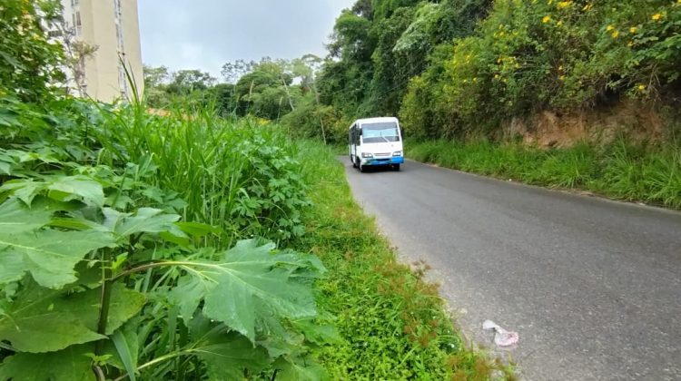 WhatsApp Image 2025-10-10 at 14.06.20