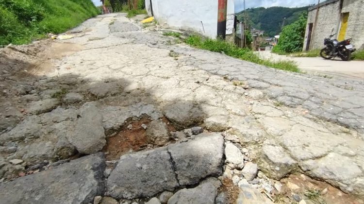 WhatsApp Image 2025-10-10 at 14.12.49