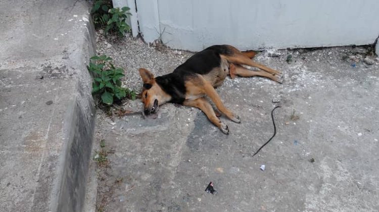 WhatsApp Image 2025-10-10 at 15.41.25