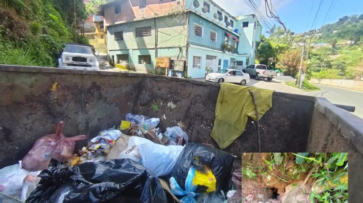 WhatsApp Image 2025-10-12 at 12.47.17