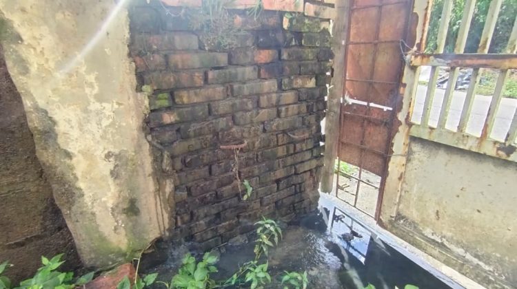 WhatsApp Image 2025-10-26 at 10.32.59 (2) WhatsApp Image 2025-10-26 at 10.32.59 (2)