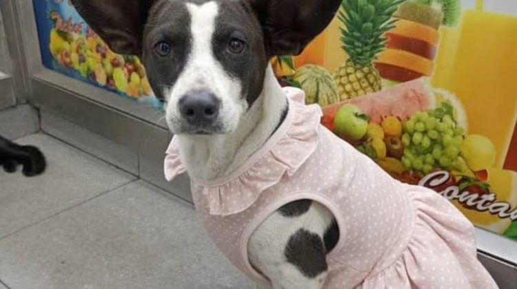 WhatsApp Image 2025-10-26 at 21.15.29