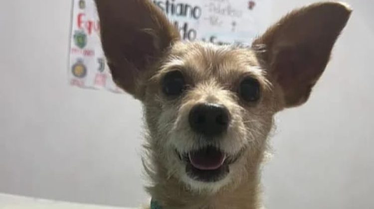 WhatsApp Image 2025-10-29 at 6.18.53 PM