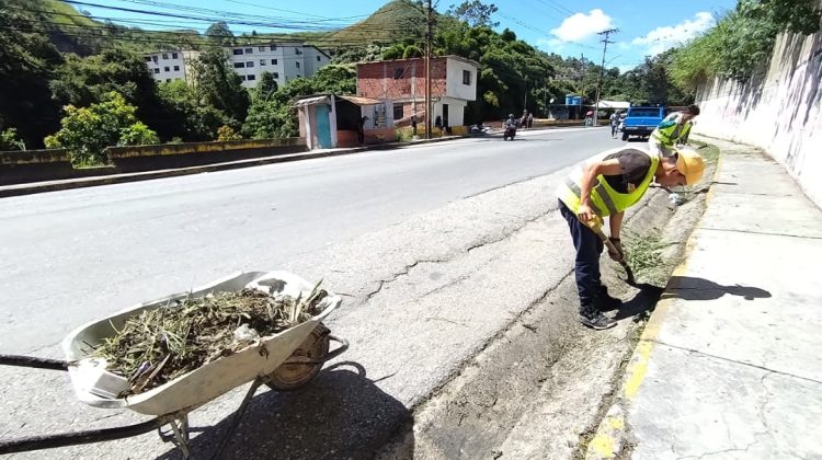 WhatsApp Image 2025-11-03 at 14.52.44