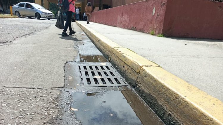 WhatsApp Image 2025-11-04 at 14.55.06