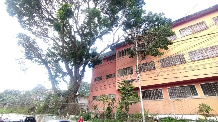 WhatsApp Image 2025-11-07 at 13.46.17