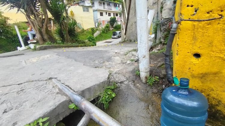 WhatsApp Image 2025-11-08 at 13.20.34