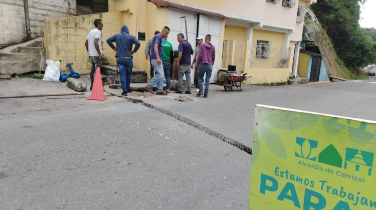 WhatsApp Image 2025-11-08 at 13.20.35