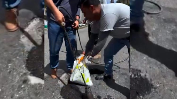 WhatsApp Image 2025-11-08 at 4.37.46 PM