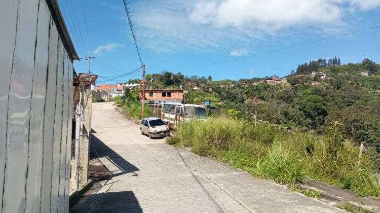 WhatsApp Image 2025-11-09 at 10.36.35