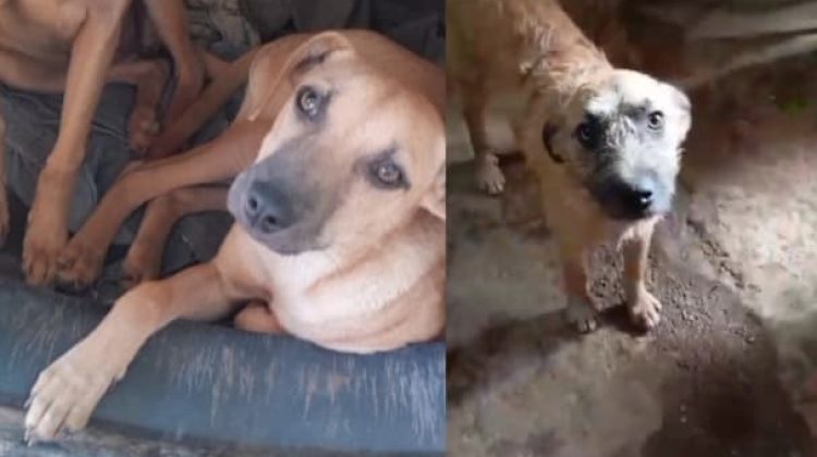 WhatsApp Image 2025-11-12 at 6.02.12 PM