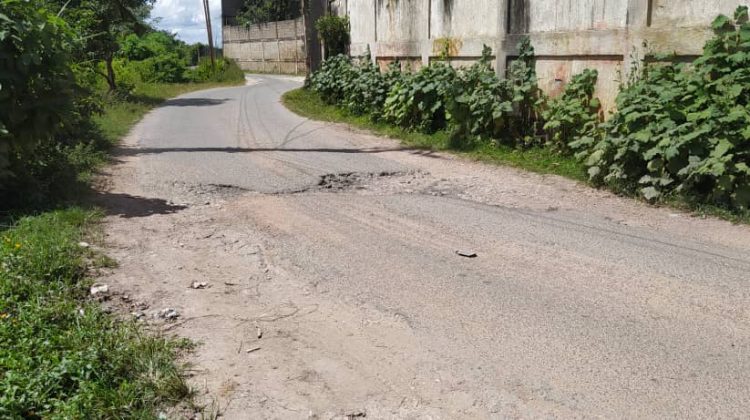 WhatsApp Image 2025-11-16 at 12.15.06