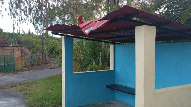 WhatsApp Image 2025-11-20 at 17.31.46