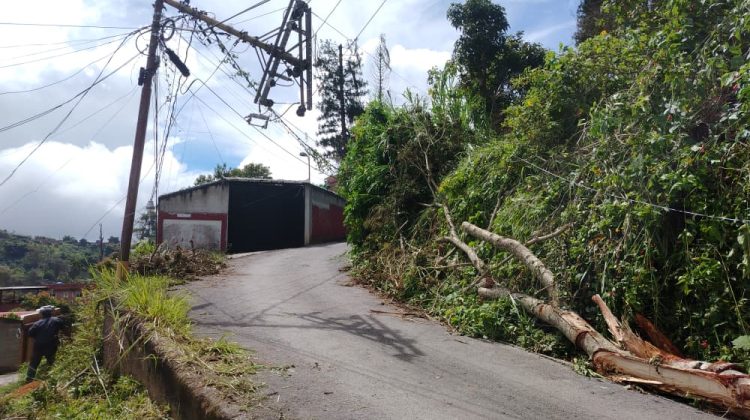 WhatsApp Image 2025-11-21 at 13.07.37