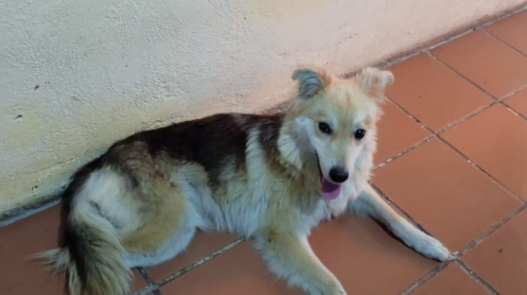 WhatsApp Image 2025-11-23 at 09.46.30