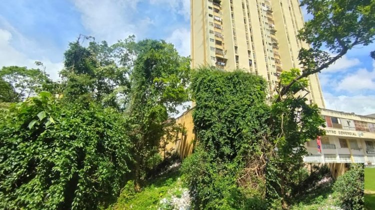 WhatsApp Image 2025-11-23 at 16.13.09