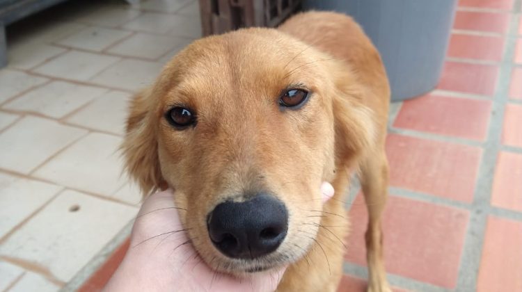 WhatsApp Image 2025-11-24 at 18.28.53