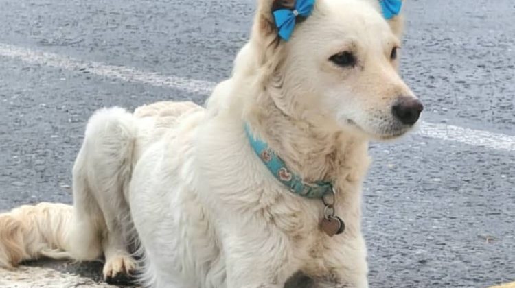 WhatsApp Image 2025-11-25 at 13.19.15