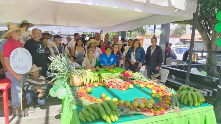 WhatsApp Image 2025-11-25 at 4.45.25 PM