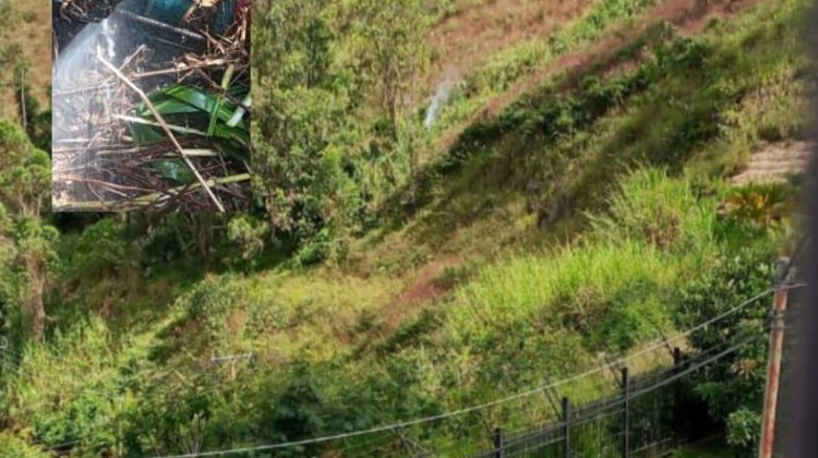 WhatsApp Image 2025-12-01 at 16.18.04