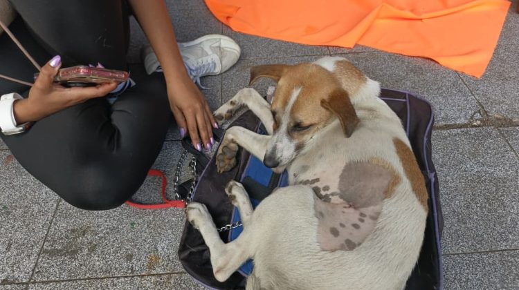 WhatsApp Image 2025-12-02 at 13.16.45