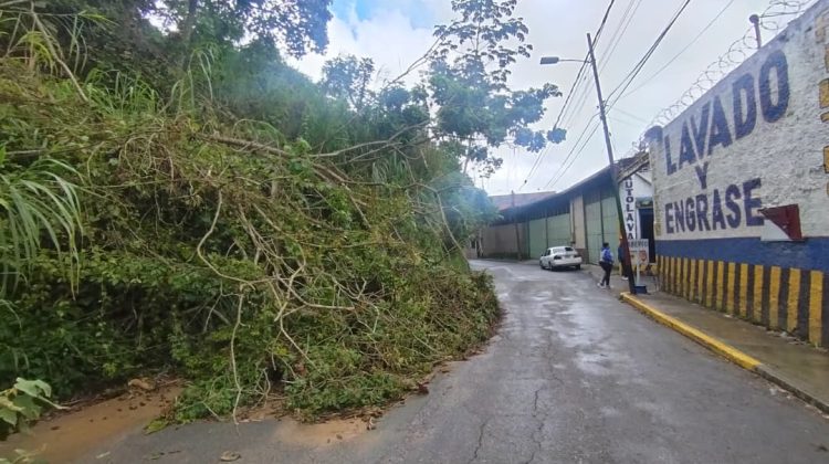 WhatsApp Image 2025-12-05 at 13.49.55