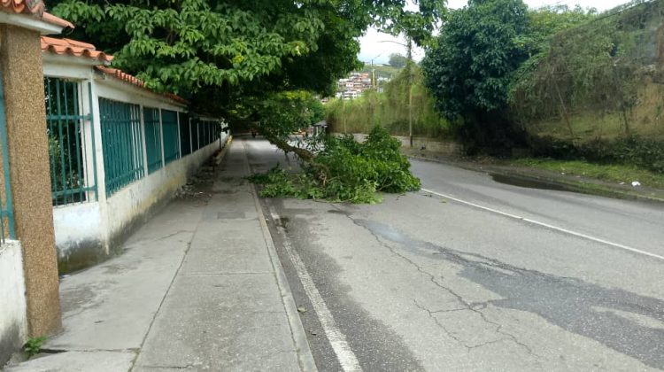 WhatsApp Image 2025-12-06 at 15.23.39