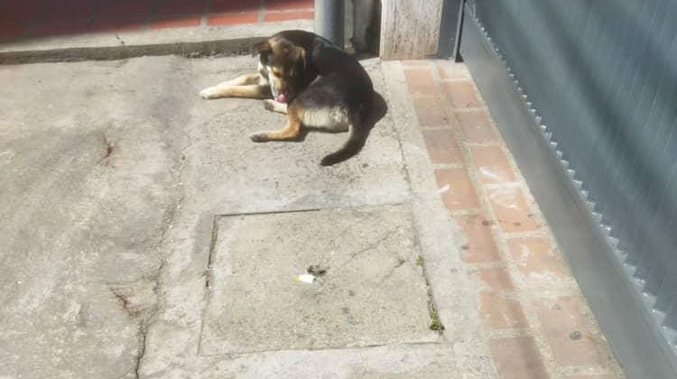 WhatsApp Image 2025-12-06 at 17.07.54