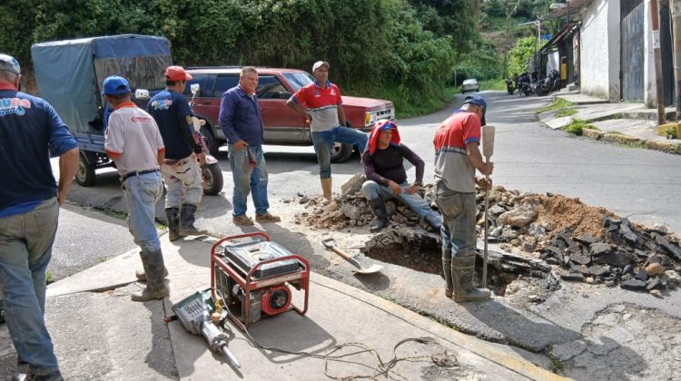 WhatsApp Image 2025-12-09 at 14.01.08