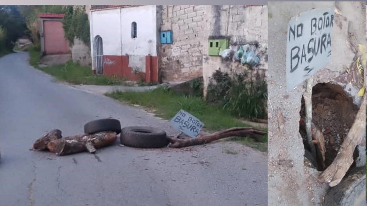 WhatsApp Image 2025-12-09 at 4.28.56 PM