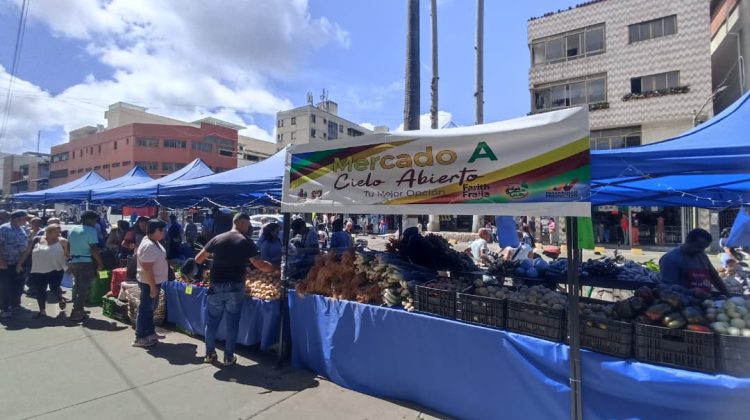 WhatsApp Image 2025-12-12 at 6.38.50 PM