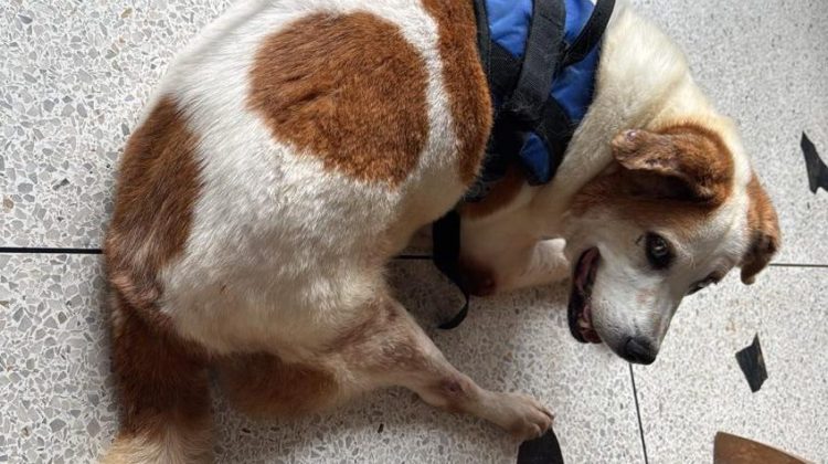 WhatsApp Image 2025-12-14 at 21.34.54