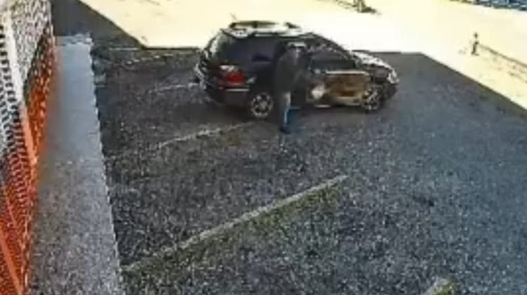 WhatsApp Image 2025-12-15 at 14.32.59