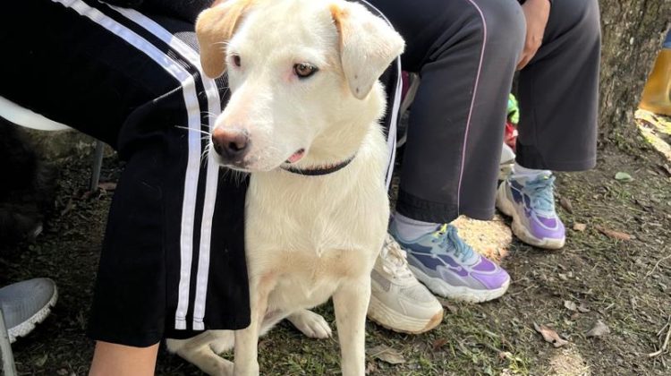 WhatsApp Image 2025-12-16 at 15.13.08