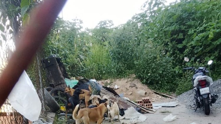 WhatsApp Image 2025-12-17 at 9.11.27 AM