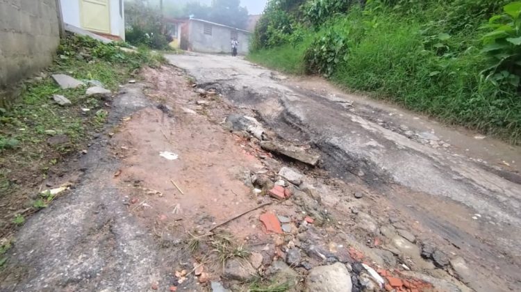 WhatsApp Image 2025-12-19 at 16.36.56