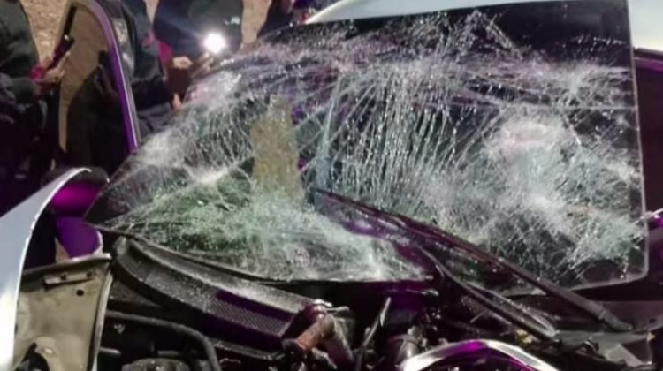 WhatsApp Image 2026-01-01 at 3.54.07 PM