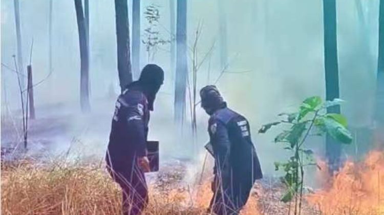 WhatsApp Image 2026-01-06 at 6.13.19 PM