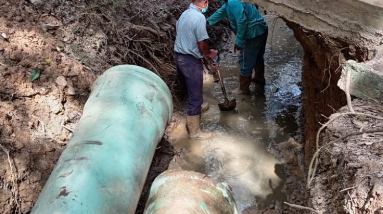 WhatsApp Image 2026-01-14 at 4.26.00 PM