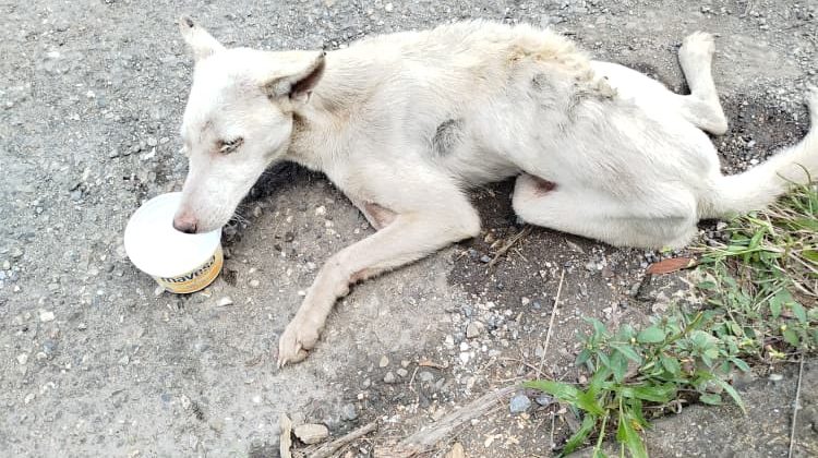 WhatsApp Image 2026-01-18 at 4.33.12 PM