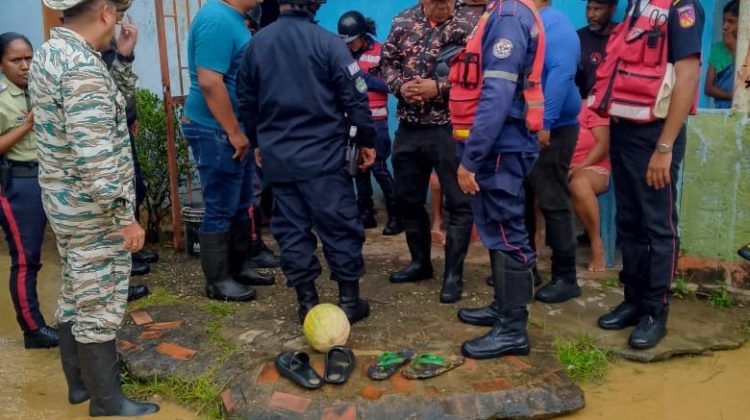 WhatsApp Image 2026-01-24 at 3.49.00 PM