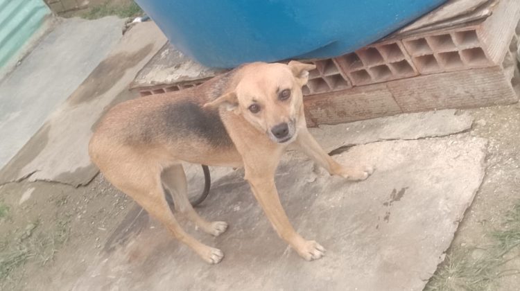 WhatsApp Image 2026-01-25 at 11.56.05 AM