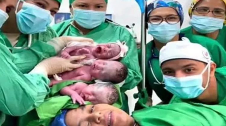 WhatsApp Image 2026-02-13 at 2.37.47 PM