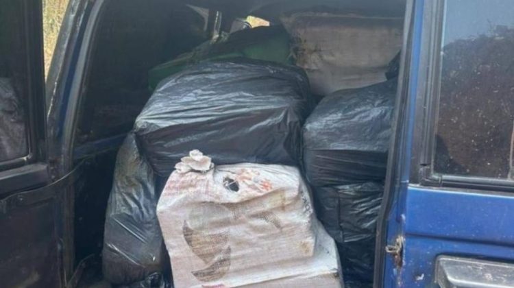 WhatsApp Image 2026-02-16 at 6.38.30 PM