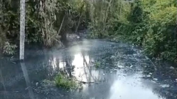 WhatsApp Image 2026-02-19 at 3.46.00 PM