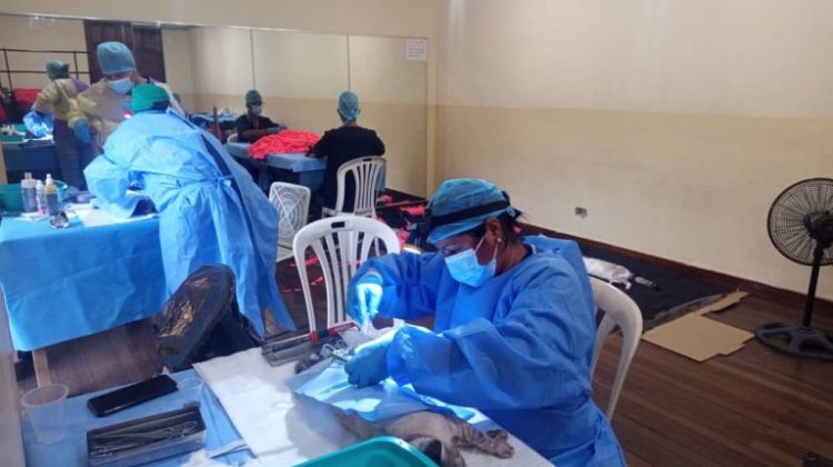 WhatsApp Image 2026-02-19 at 4.17.02 PM